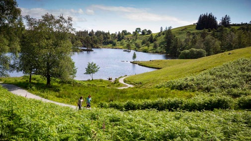 A lush green hillside rolls down to a lake at Tarn Hows, Cumbria. It's a sunny day and two people are walking along a winding path on the hillside.
